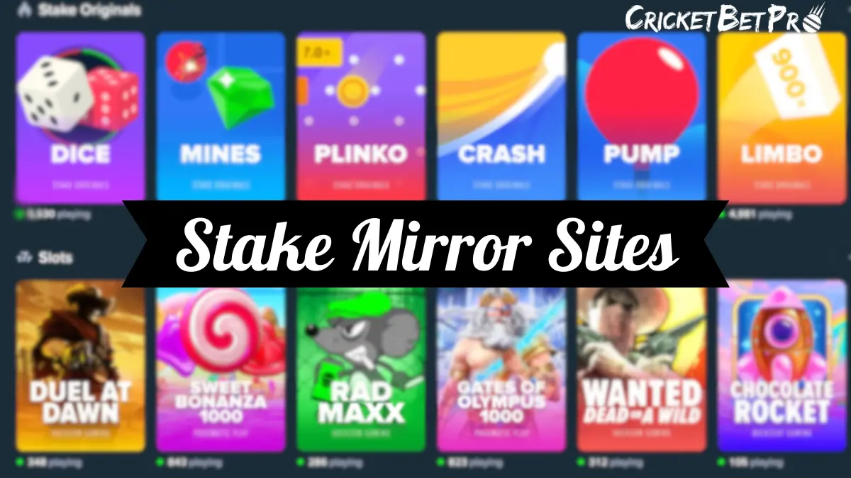 Stake Casino
