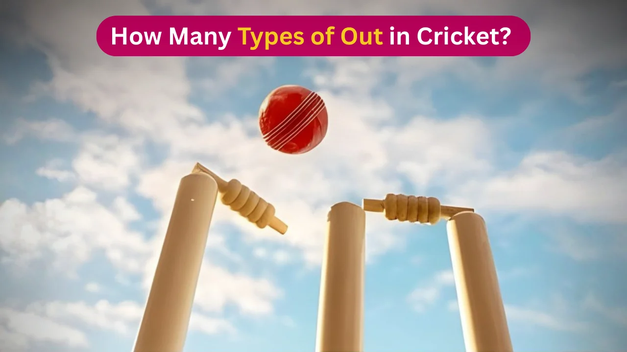 How Many Types of Out in Cricket