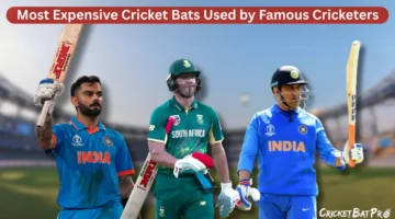 Most Expensive Cricket Bats Used by Famous Cricketers