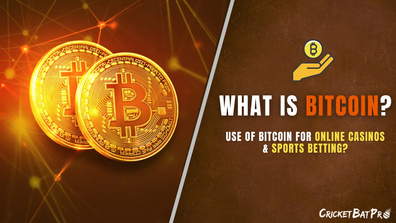 Mehar Agarwal, Author at Cricket Bat Pro