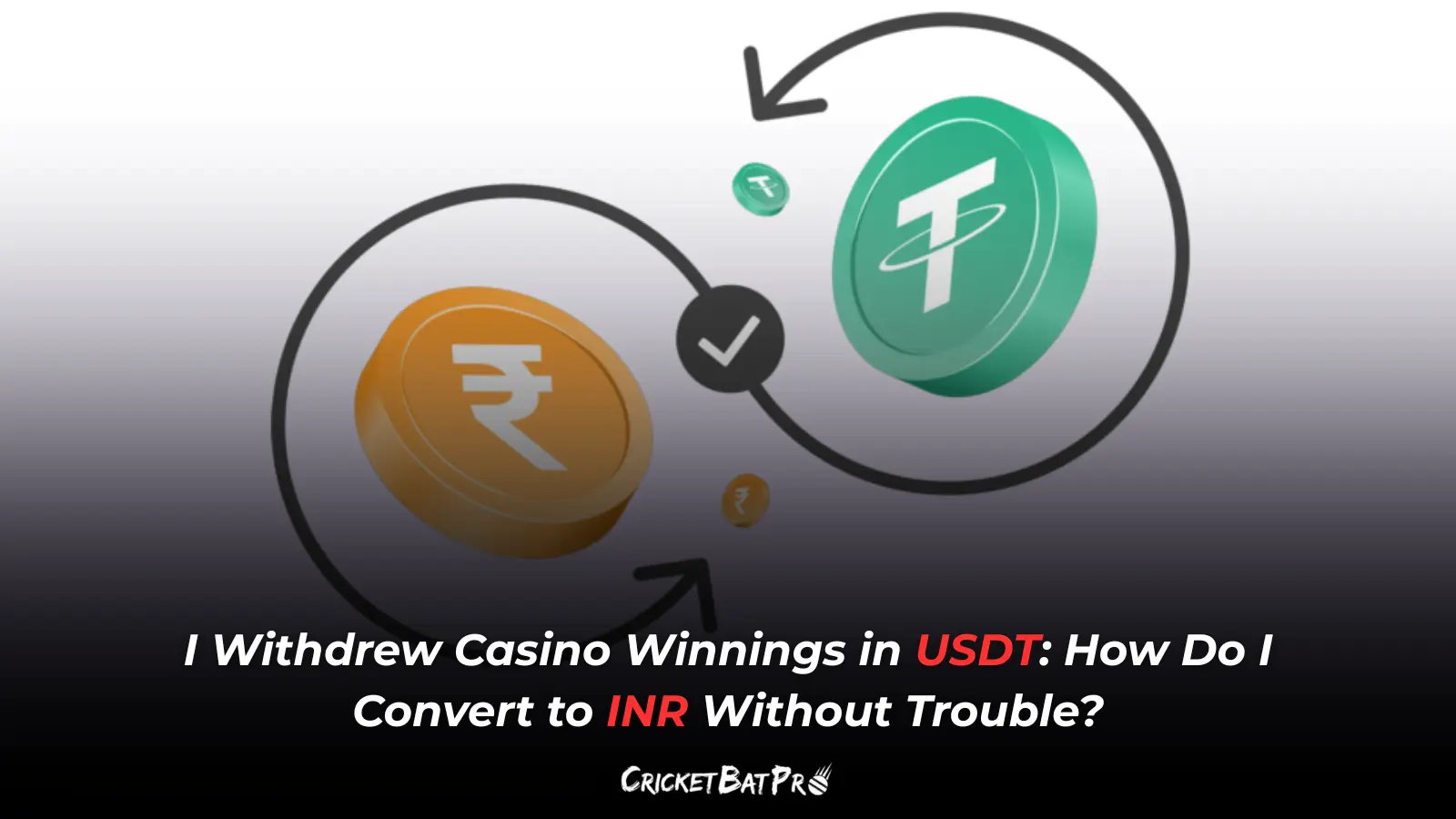 how to convert usdt to inr safely